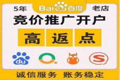 SEM推广代运营：成功案例解析与策略分享